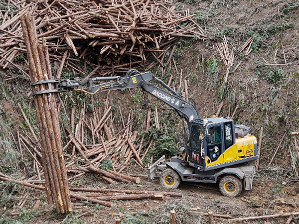 宝鼎95抓木机 宝鼎95抓木机