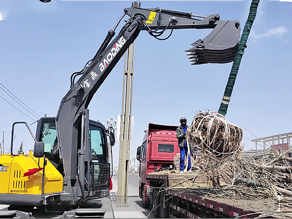 宝鼎挖掘机 宝鼎挖掘机