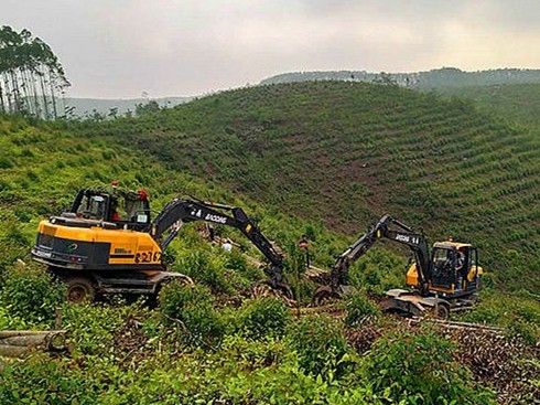 山东宝鼎抓木机厂家95系列抓木机产品价格合理品质更有优势