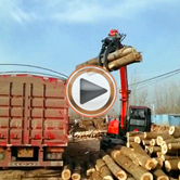 河南抓木机视频 河南抓木机视频