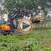 河南抓木机视频 河南抓木机视频