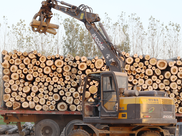 五年如新，轻松出手——宝鼎抓木机的高价值回报