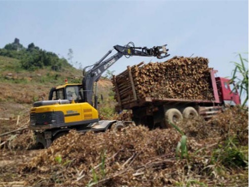 广东宝鼎抓木机销售攀升