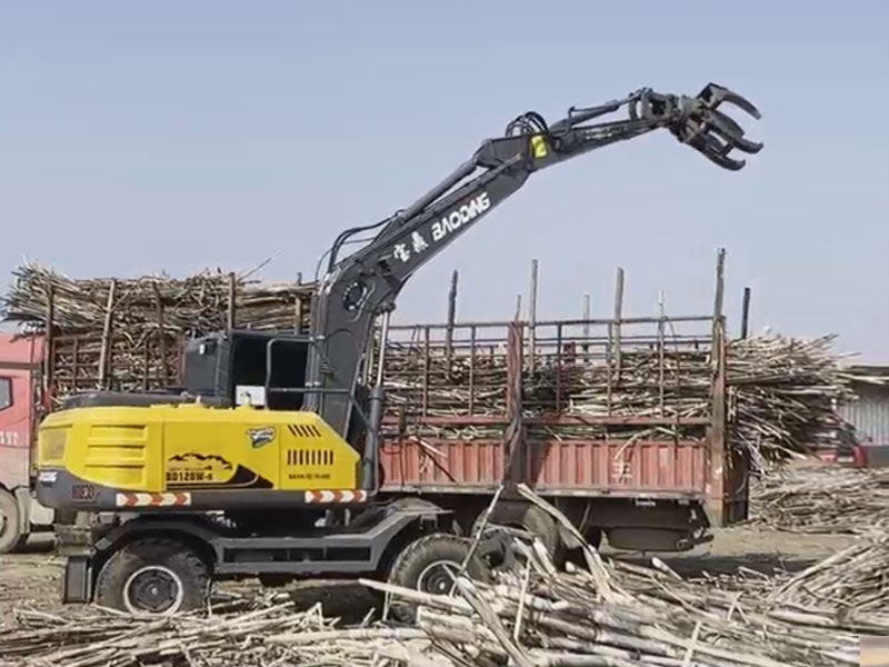 宝鼎抓木机迎来甘蔗丰收季