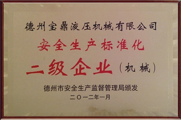 安全生产标准化二级企业证书