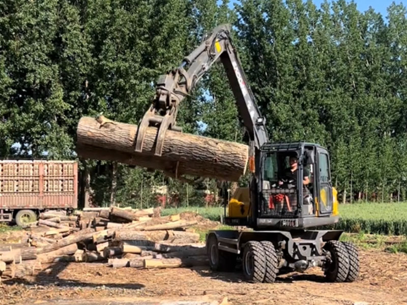 宝鼎BD90G轮式抓木机动力强劲做工高效