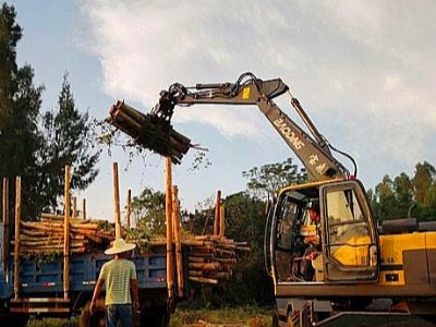 宝鼎多功能轮式抓木机