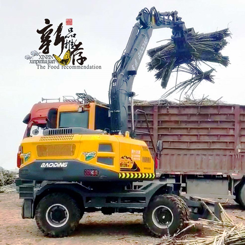 宝鼎120轮式抓木机实车图片